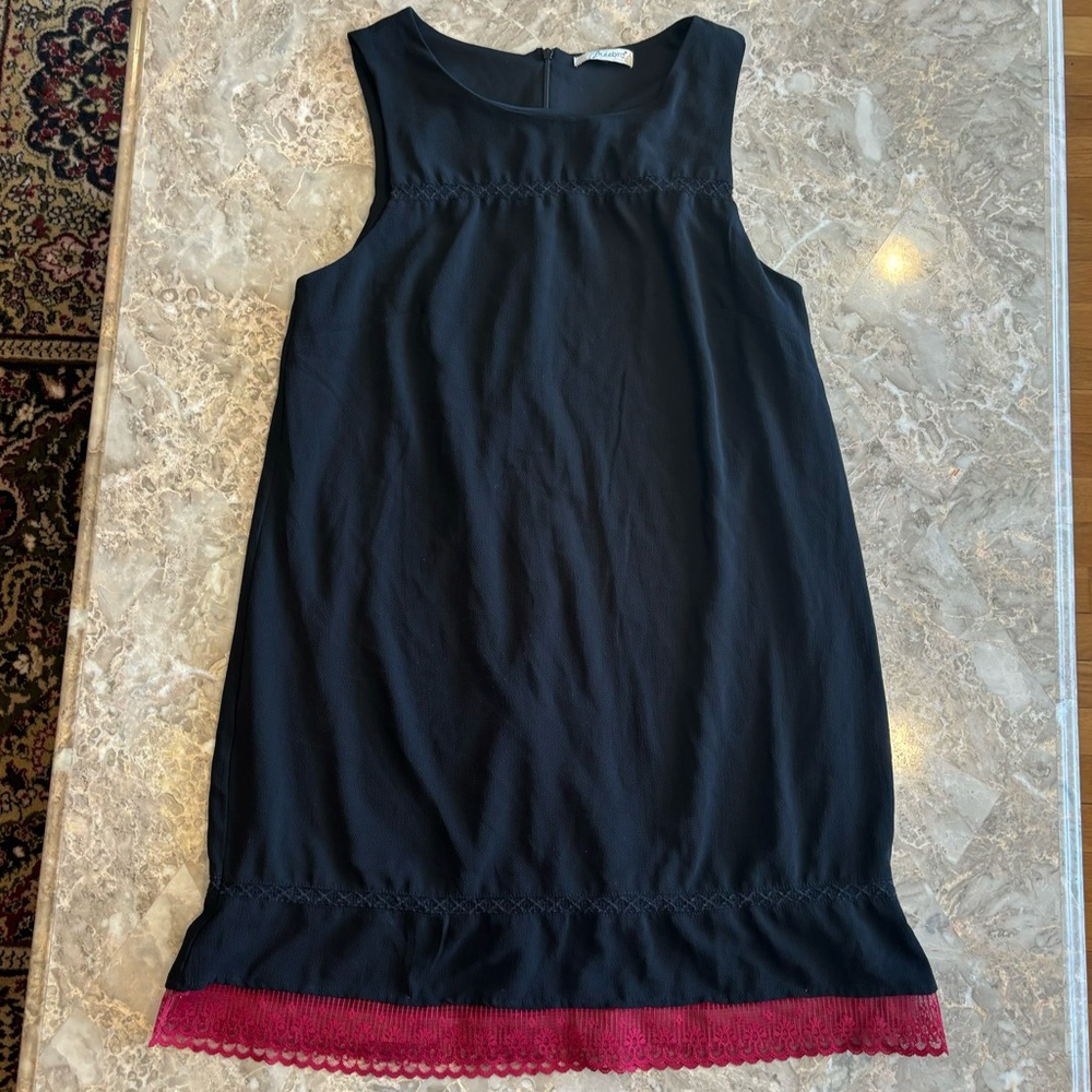 Freebird Black Shift Dress with Red Lace Trim